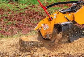 Best Leaf Removal  in Davenport, WA