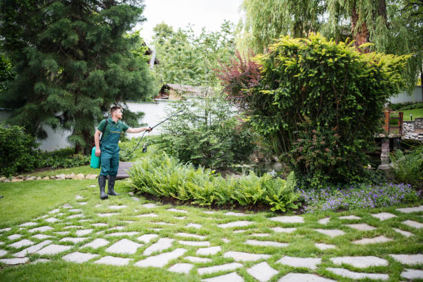 Best Organic Lawn Care Solutions  in Davenport, WA